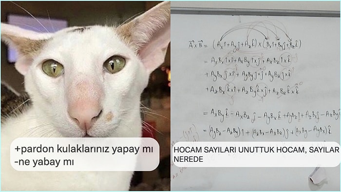 Karadenizli Yapay Kediden Rakamsız Matematik Dersine Son 24 Saatin Viral Tweetleri