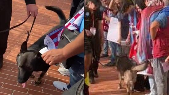 Fransız Polisinden Trabzonspor Taraftarına Köpekli Arama