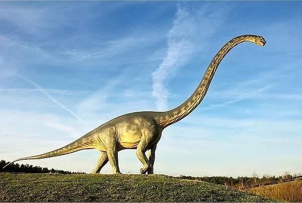 8. Dünyada dinozor fosilleri en çok üç farklı yerde bulunmuştur.