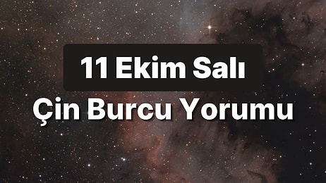 11 Ekim Salı Çin Burcuna Göre Günün Nasıl Geçecek?