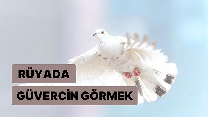 Rüyada Güvercin Görmek: Müjdeli Haberlerle Kısmetiniz ve Yolunuz Açılacak