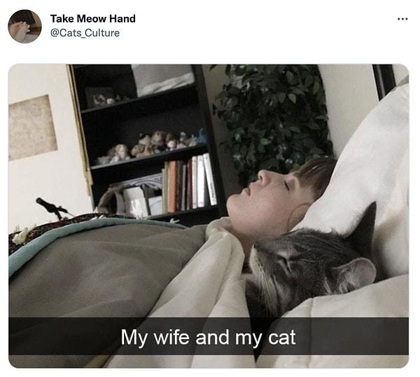 8. "Eşim ve kedim"