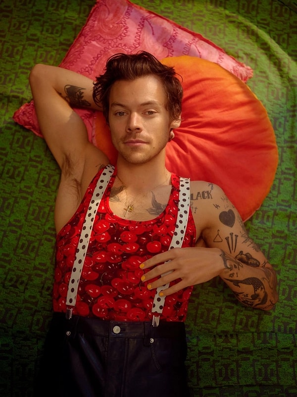 Bir dönem genç kızların sevgilisi olan dünyaca ünlü İngiliz oyuncu ve şarkıcı Harry Styles'ı tanımayan yoktur.