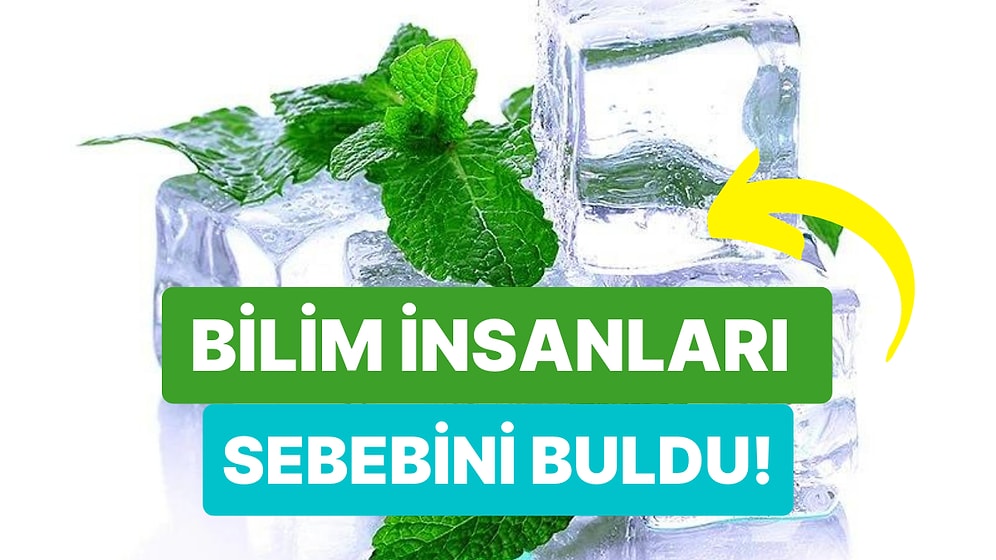 Mentol Tükettiğimizde Neden Ağzımızda Ferahlık ve Serinlik Hissediyoruz?