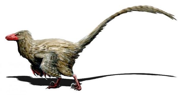 Третье место: Геспероникус