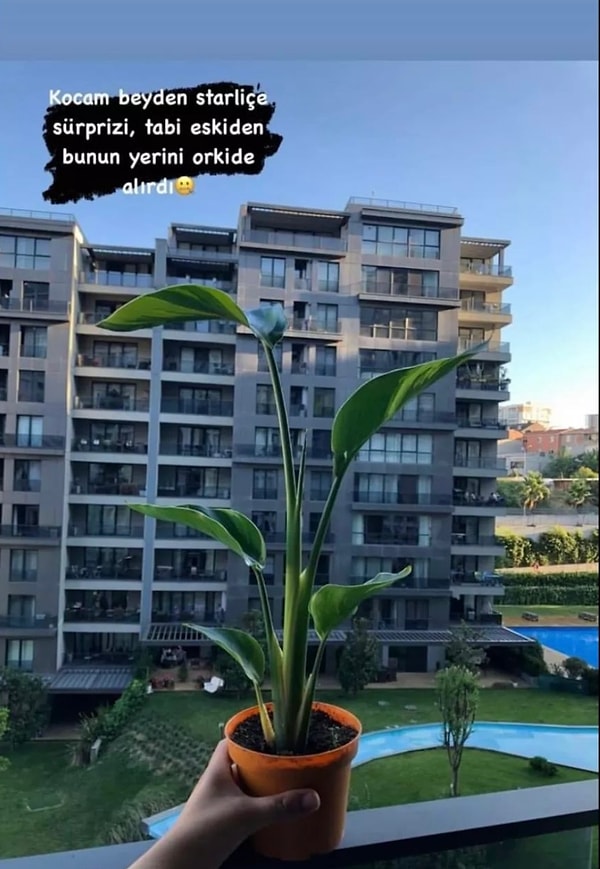 15. Zaman geçtikçe çiçekler de değişiyor demek.