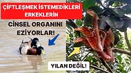 Doğanın Korkutucu Yüzünü İliklerinize Kadar Hissetmenize Sebep Olacak Birbirinden Ürkütücü 15 Yeni Fotoğraf