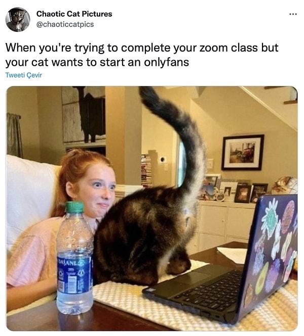 1. "Zoom sınıfını tamamlamaya çalışırsın ama kedin onlyfans istiyordur."