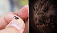 В самый раз к Хэллоуину! Фотограф сделал снимок лица муравья крупным планом, и он способен вызвать у вас ночные кошмары