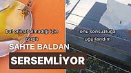 Arılar İçin de Coğrafya Kaderdir: Bulduğu Arıyı Kurtarayım Derken Onu Son Yolculuğuna Uğurlayan Türk Tiktoker