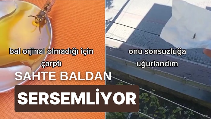 Arılar İçin de Coğrafya Kaderdir: Bulduğu Arıyı Kurtarayım Derken Onu Son Yolculuğuna Uğurlayan Türk Tiktoker