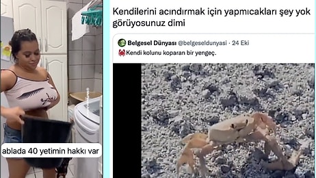 Memede Cisim Tutma Akımından Yengeç Burçlarının Tuhaf Özelliklerine Son 24 Saatin Viral Tweetleri