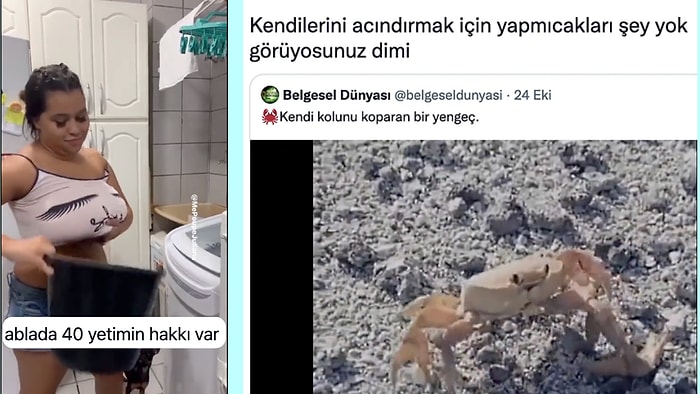 Memede Cisim Tutma Akımından Yengeç Burçlarının Tuhaf Özelliklerine Son 24 Saatin Viral Tweetleri