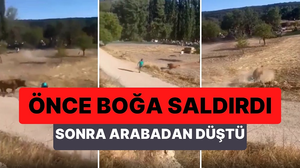 Kaçtığı Boğaya Yakalanan Adam Korkunç Bir Şekilde Can Verecekken Kurtarıldı: Sonra da Aracın Üzerinden Düştü