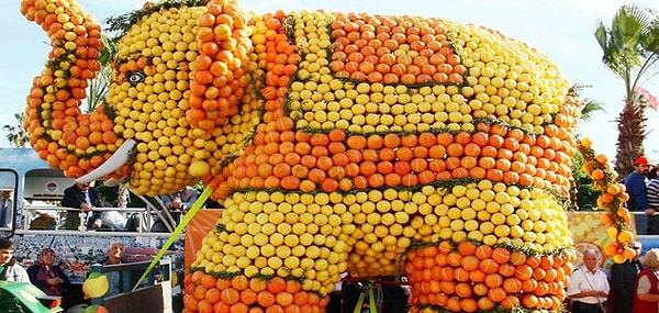 3. 2013 yılından beri düzenlenen Portakal Çiçeği Karnavalı hangi şehirde yapılır?