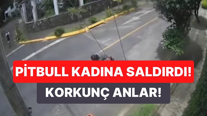 Pitbullun Saldırısına Uğrayan Kadını Kurtaran Kahraman Adam