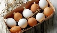 Коричневые и белые яйца: в чём разница