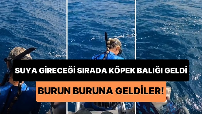 Kafasını Okyanusa Sokacağı Sırada Köpek Balığı ile Burun Buruna Gelen Kadının Korkunç Anları