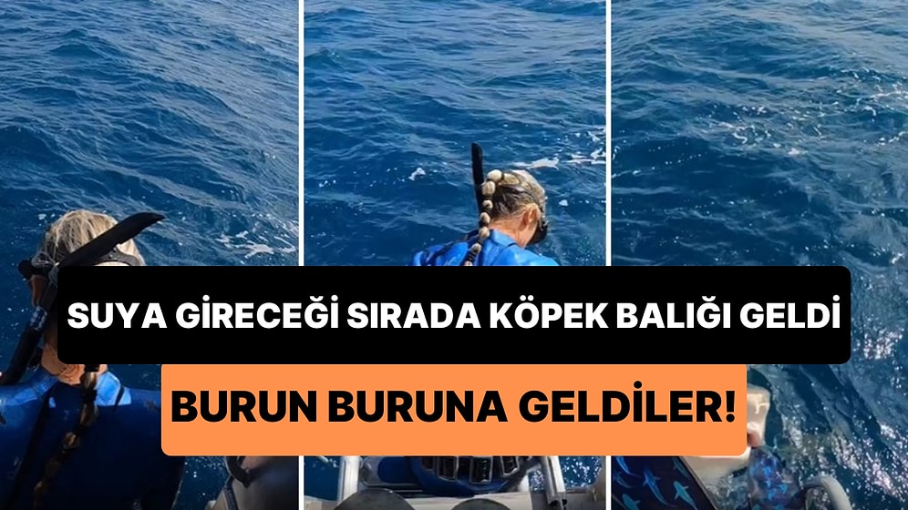 Kafasını Okyanusa Sokacağı Sırada Köpek Balığı ile Burun Buruna Gelen Kadının Korkunç Anları