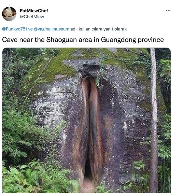 15. Ve son olarak, "Guangdong eyaletindeki Shaoguan bölgesi yakınlarındaki mağara"