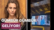 Serenay Sarıkaya Ekranlara Dönüyor! Netflix'in Merakla Beklenen Dizisi Şahmeran'ın İlk Fragmanı Yayınlandı