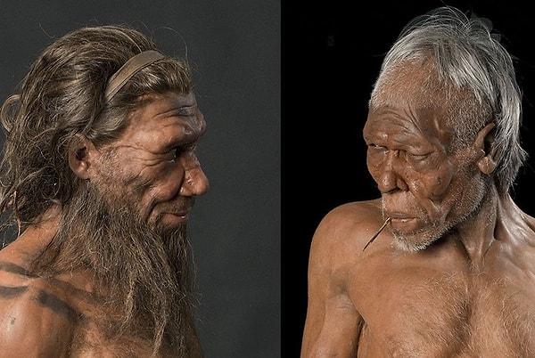 5. Neandertaller ile yaklaşık 2900 yıl beraber yaşamışız.