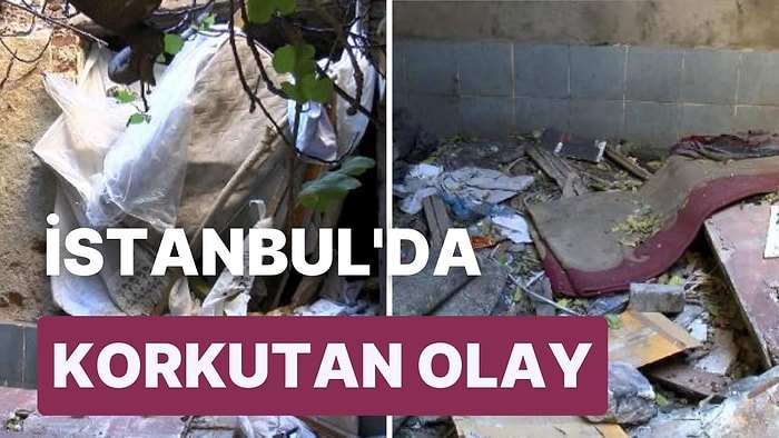 İstanbul'da Korkunç Olay: Kafatası ve İnsan Kemikleri Bulundu