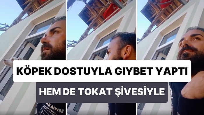 Köpek Dostu ile Tokat Şivesiyle Pencere Gıybeti Yapan Adamın Muhteşem Anları