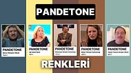 Bence Haksızsın Mavisinden, Maaş Yetmiyor Kahverengine Hayatımızın Tüm Renkleri İle Pandetone!