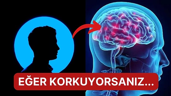 Karşınızdaki Kişi ile Fikir Ayrılığı ve Anlaşmazlık Yaşadığınız Anda Beyniniz Nasıl Tepki Verir?