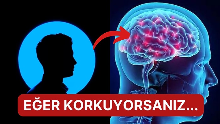 Karşınızdaki Kişi ile Fikir Ayrılığı ve Anlaşmazlık Yaşadığınız Anda Beyniniz Nasıl Tepki Verir?