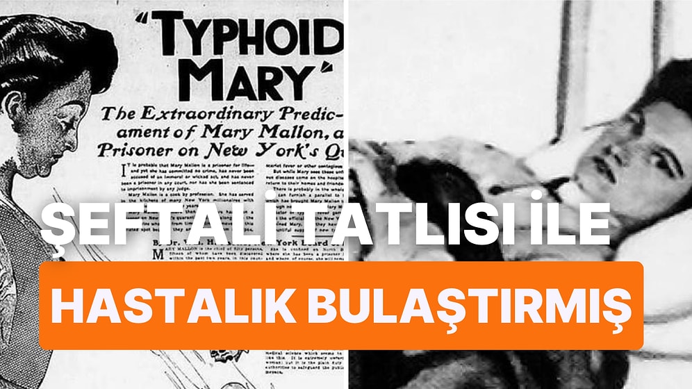 Tifo'lu Marry'nin 26 Yıl Boyunca Karantinada Kalmasına Neden Olan Trajik Sonlu Hayat Hikayesi