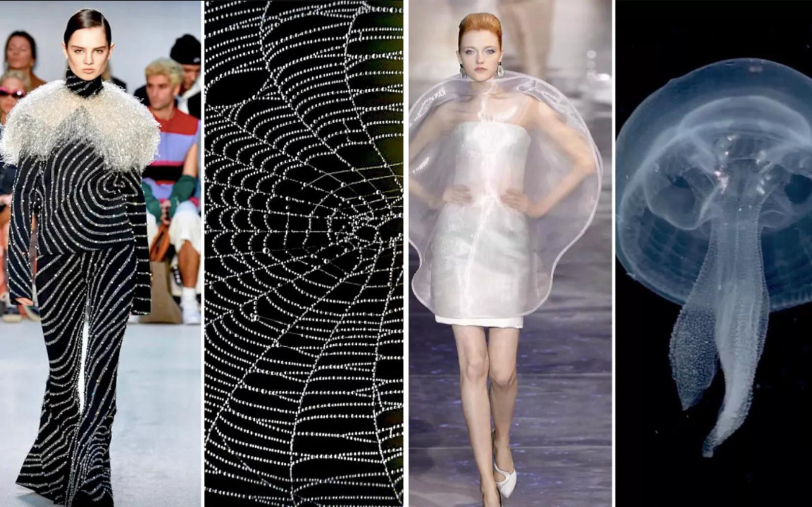 30 доказательств того, что создатели самых эксцентричных нарядов индустрии моды вдохновлялись природой
