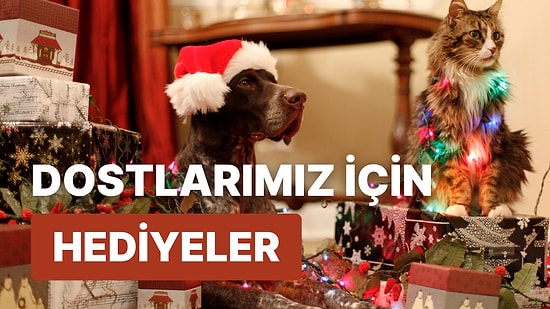 Onlar da Hediyeyi Sever: Kedi veya Köpeğinize Yılbaşı İçin Alabileceğiniz 10 Tatlış Hediye