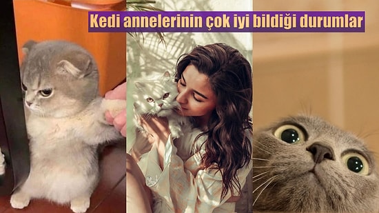 Patili Dostunu Evladı Gibi Sahiplenen Kedi Annelerinin Çok İyi Bildiği 10 Durum