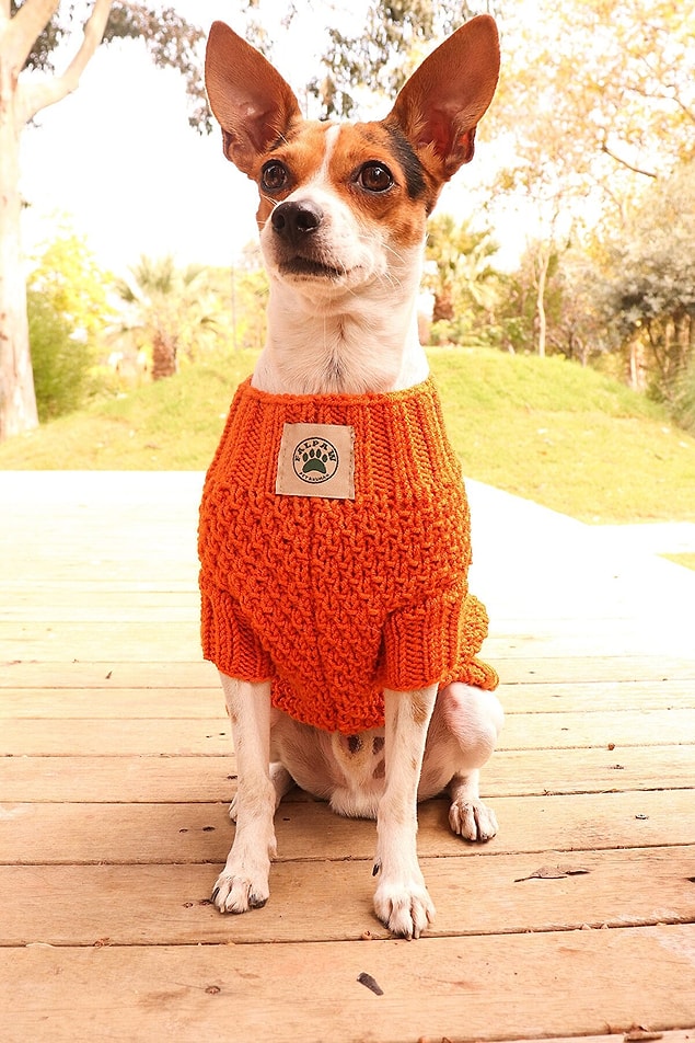 7. Pull pour chien orange tricoté à la main