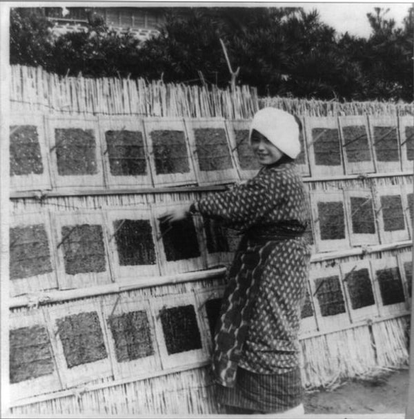 Ülkede hem dört bir uçta hissedilen kıtlık sorunu üzerine bir de son yılların en kötü hasat sezonuyla uğraşıyordu.