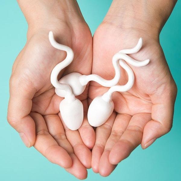 Yapılan araştırmada sperm sayılarının düşüş hızı yıllar içinde tam iki katına çıkarken, bu durum insanlığın geleceği konusunda endişelere neden oldu.