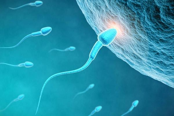 Söz konusu araştırmada 53 ülkeden 57 binden fazla erkekten sperm örneği alındı ve Latin Amerika, Asya ve Afrika'daki sperm düşüşünün ilk defa Avrupa, Kuzey Amerika ve Avustralya'ya denk olduğu gözlemlendi.