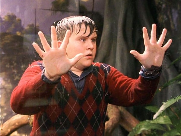 1. Dudley Dursley