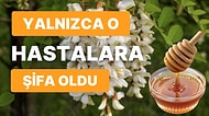 Uzmanlar "Günde İki Yemek Kaşığı" Diyor: Kan Şekerini ve Kolesterolü Düşürmek İçin Hangi Balı Tüketmeliyiz?