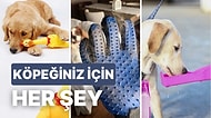 Mama Kabından Oyuncağına Black Friday İndirimli Köpek Ürünleri