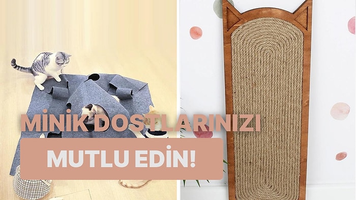 Mama Kabından Oyuncağına Black Friday İndirimli Kedi Ürünleri