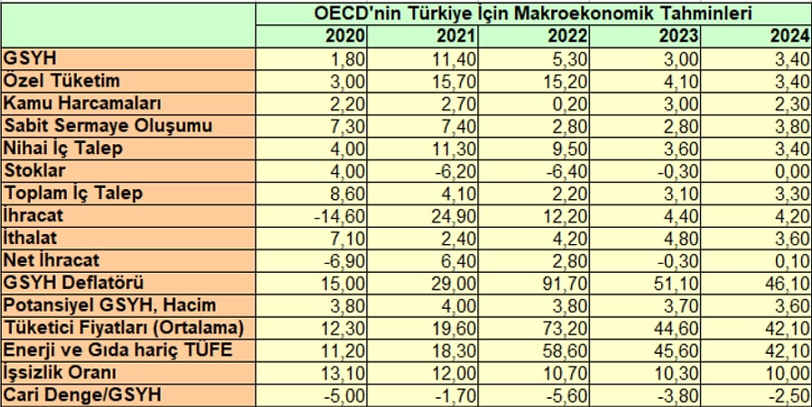 OECD, Türkiye'de Büyümenin Ve Enflasyonun Yavaşlamasını Bekliyor