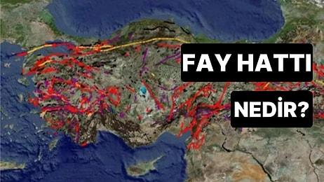 Fay Hattı Nedir, Neden Hareket Eder? Türkiye Fay Hattı Haritası