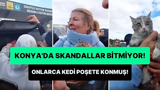 Konya'da Vatandaşlar Hayvan Barınağı Aracının İçinde Poşete Konmuş Onlarca Kedi Buldular