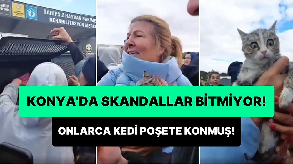 Konya'da Vatandaşlar Hayvan Barınağı Aracının İçinde Poşete Konmuş Onlarca Kedi Buldular