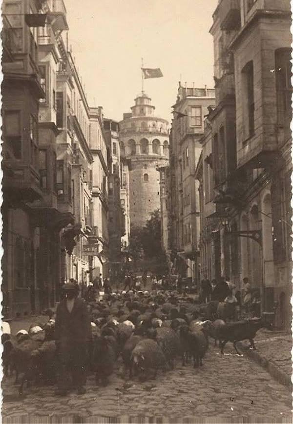 5. Galata Kulesi ve koyunlar, İstanbul, 1940.