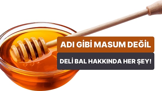 Adı Gibi Masum Olmayan Bir Lezzet: Deli Bal Hakkında Daha Önce Duymadıklarınız