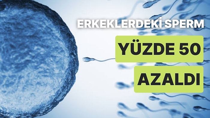 Erkeklerdeki Sperm Sayısı Yüzde 50 Azaldı: İnsan Neslinin Devamı Tehlikeye Girebilir